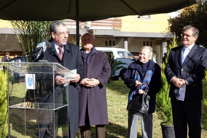 homenagem mendes silva 76